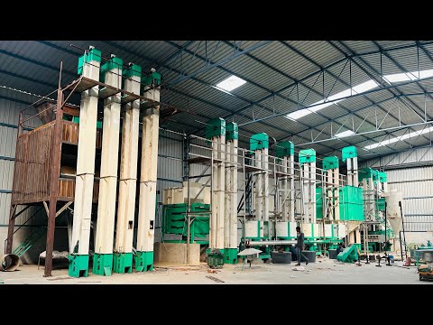 Paddy Separator Machine, Capacity: 12 Ton