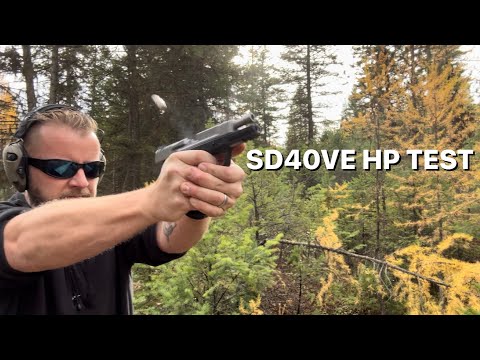 Smith and Wesson SD40VE Test