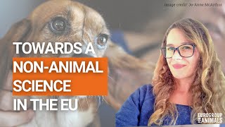 The use of animals in science in the EU explained - World Day for Animals in Laboratories