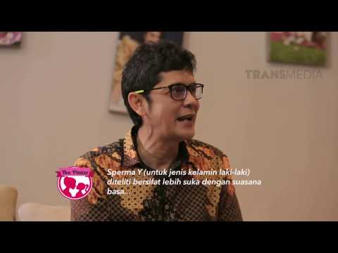 download lagu mp3 mp4 Tips Merencanakan Kehamilan, download lagu Tips Merencanakan Kehamilan gratis, unduh video klip Tips Merencanakan Kehamilan