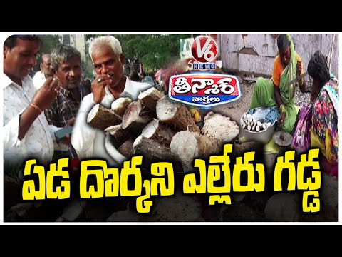 Yelleru Gadda: The Nutritious Fruit with Surprising Health Advantages | V6 Weekend Teenmaar
