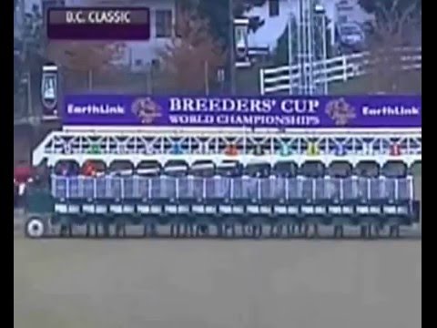 INVASOR- 2006 Breeder's Cup Classic (GI, Churchill Downs)