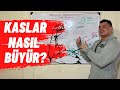 Kaslar Nasıl Büyür