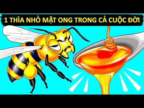 , title : 'Cách Thức Và Lí Do Ong Làm Mật (Cùng Các Sự Thật Khác Về Ong Mà Bạn Vẫn Thắc Mắc)'