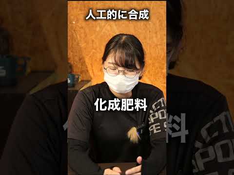 なぜクリスマスサボテンに砂糖をまくのでしょうか？この自家製肥料のメリットとデメリット  庭園