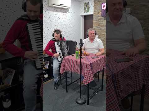 Mirko Maletic - Takva kosa crna (cover)(Harmonika - Igor Golubic)