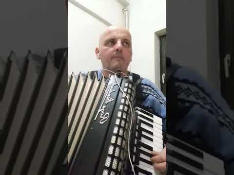 Zoran Mihajlović - Zavičaju moja tugo