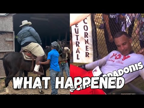 Random Moments On The Internet....