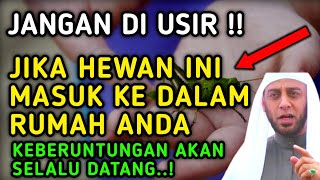 Download lagu ANDA BERUNTUNG SEUMUR HIDUP !! Jika Ada 10 Hewan Ini Memasuki Rumah Anda, Arti Binatang Masuk Rumah mp3 Download lagu ANDA BERUNTUNG SEUMUR HIDUP !! Jika Ada 10 Hewan Ini Memasuki Rumah Anda, Arti Binatang Masuk Rumah mp3