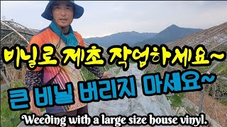 하우스 큰비닐로 잡초 제거가 쉽게 가능합니다! Weeding with a large size house vi…