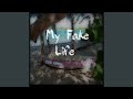 My Fake Life