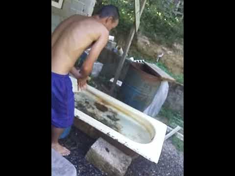 tomando banho de banheira .esta calor (4)