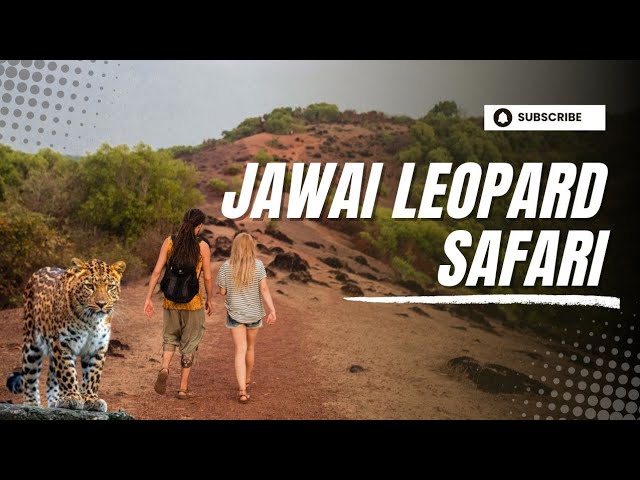 Watch our YouTube video