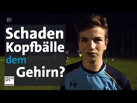 Neue Studie über Gesundheitsgefahren bei Kopfbällen  | Abendschau |  BR24