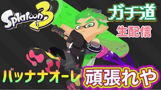 スプラトゥーン３テスト配信。まりお(バッナナオーレ) のライブ配信
