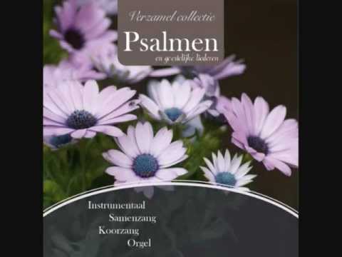 Psalmen en geestelijke liederen | Samen in de Naam van Jezus