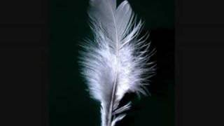 Andrew Weatherall - Feathers