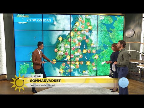 Nu kommer sol och värme! - Nyhetsmorgon (TV4)