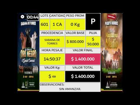 SUBASTA COMERCIAL SABANA DE TORRES #403