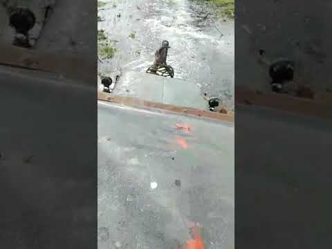 4x4 aguas dulces ( rocha) 2021