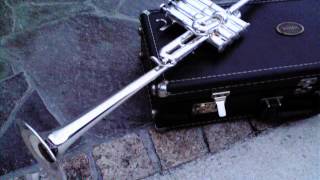 The Final Time Traveler　Sarah Àlainn Hideki Sakamoto