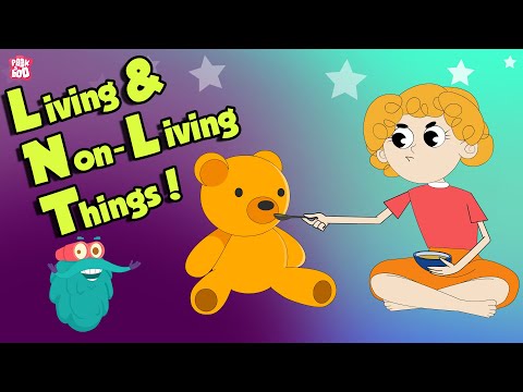Living & Non Living Things | What Are Non Living Things? | The Dr Binocs Show | Peekaboo Kidz