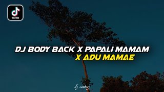 Download lagu Dj Body Back X Papali Mamam X Adu Mamae|| Dj Old Viral Tiktok Terbaru - DJ SANTUY mp3