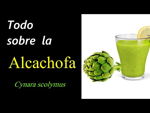 Alcachofa: Usos Terapéuticos y Beneficios