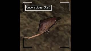 Razed In Black - Forgotten (Unconscious Rat Instrumental Mix)