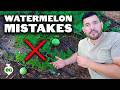 6 Watermelon Growing Mistakes To Avoid