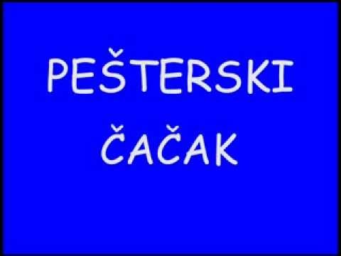 Pesterski Cacak Kolo ' Uzivo