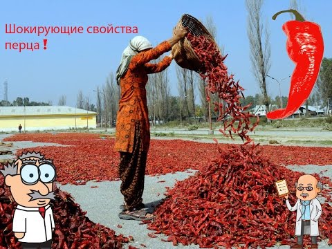 Тест отрицательный но болит поясница Сколько стоит эндопротезирование тазобедренного сустава в израиле