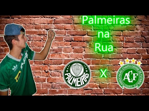Palmeiras na rua