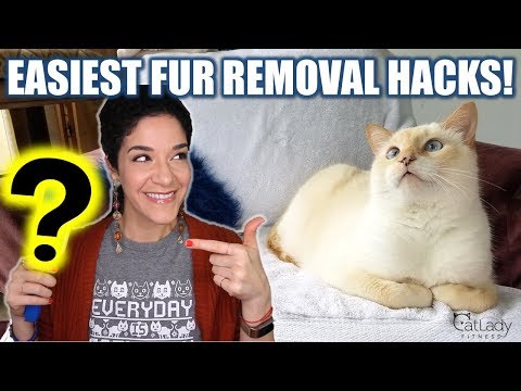 The MOST effective ways to remove cat hair off furniture (MY FAV PET FUR REMOVAL HACKS!) 🙀
