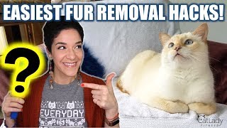 The MOST effective ways to remove cat hair off furniture (MY FAV PET FUR REMOVAL HACKS!) 🙀
