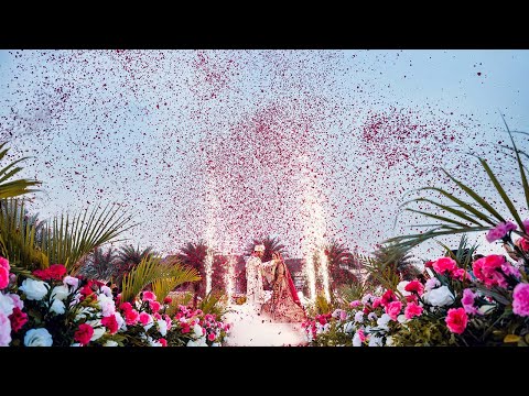 Wedding Photographer portfolio by Witty Shadows in Delhi - Photo 3