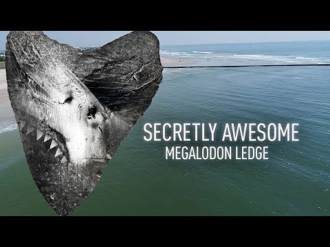 download lagu mp3 mp4 Megalodon Ledge, download lagu Megalodon Ledge gratis, unduh video klip Megalodon Ledge