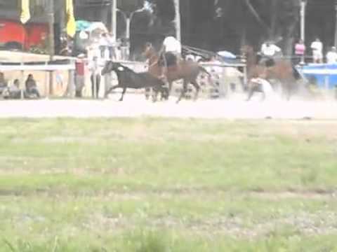 Yashinton Sasias "El Bolaya" en el Turron de Pedro Berruti