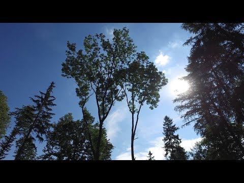 Chwila grozy na kłodzkim niebie