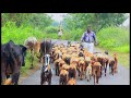 Yarum Illaye Endru யாரும் இல்லை என்று By Rev Anandraj Tamil Christia