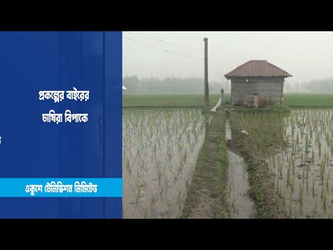 বিপাকে তিস্তা সেচ প্রকল্পের বাইরের চাষিরা