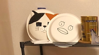 チャンネルはアスキモ のライブ ストリーム