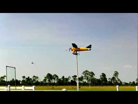 R/C Flyer s of Venice Flying Wings.