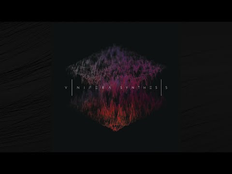 Vinifera - Synthesis [EP] (2021)