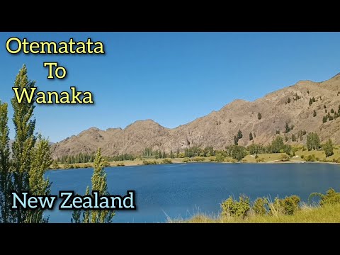 Otematata, Benmore, Omarama, Lindis Pass, Tarras, Wanaka - New Zealand Road Trip Tour Day 6.1