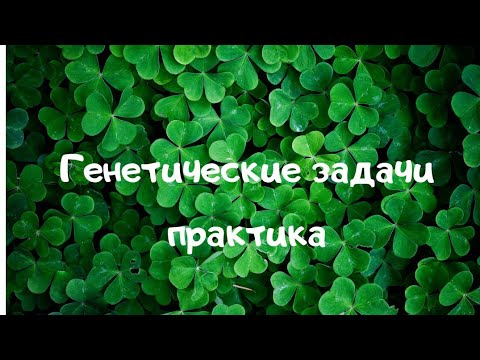 Задача на псевдоаутосомное наследование