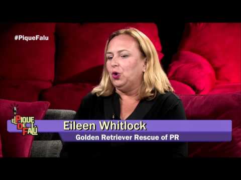 El Pique de Falú 09-13-16 (03) - Entrevista a Remi Martin y Eileen Withlock