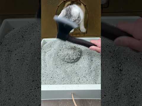 Premium Sodium Cat Litter .Cat litter supplier. Cheap cat litter price