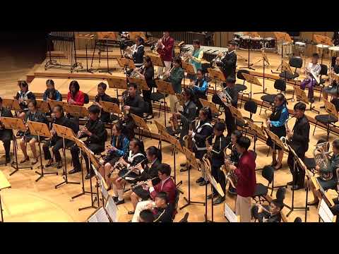 2018 WYBF Junior Band- Latin Gold