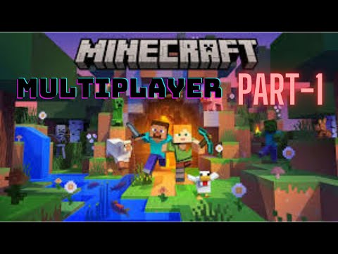 Minecraft Gameplay Video || Me and My Brother Play Multiplayer Part-1